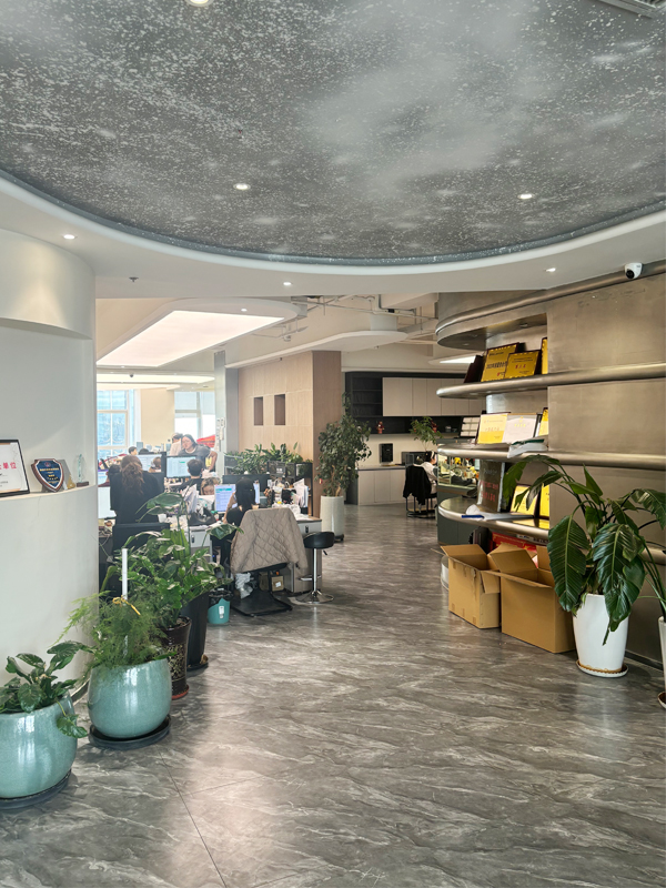 Our office, Urumqi